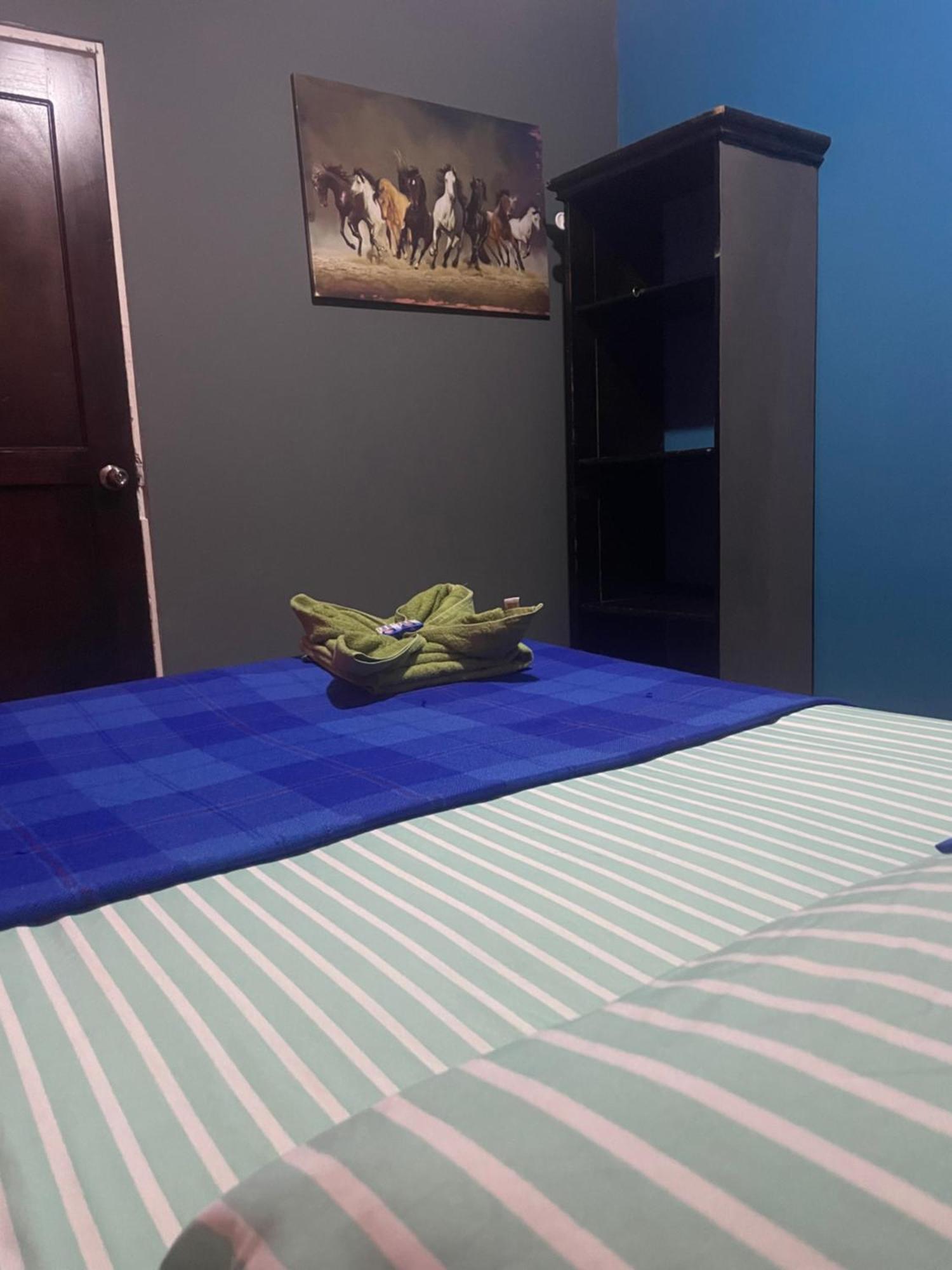 Hostal Vista Boquete Bajo Boquete المظهر الخارجي الصورة