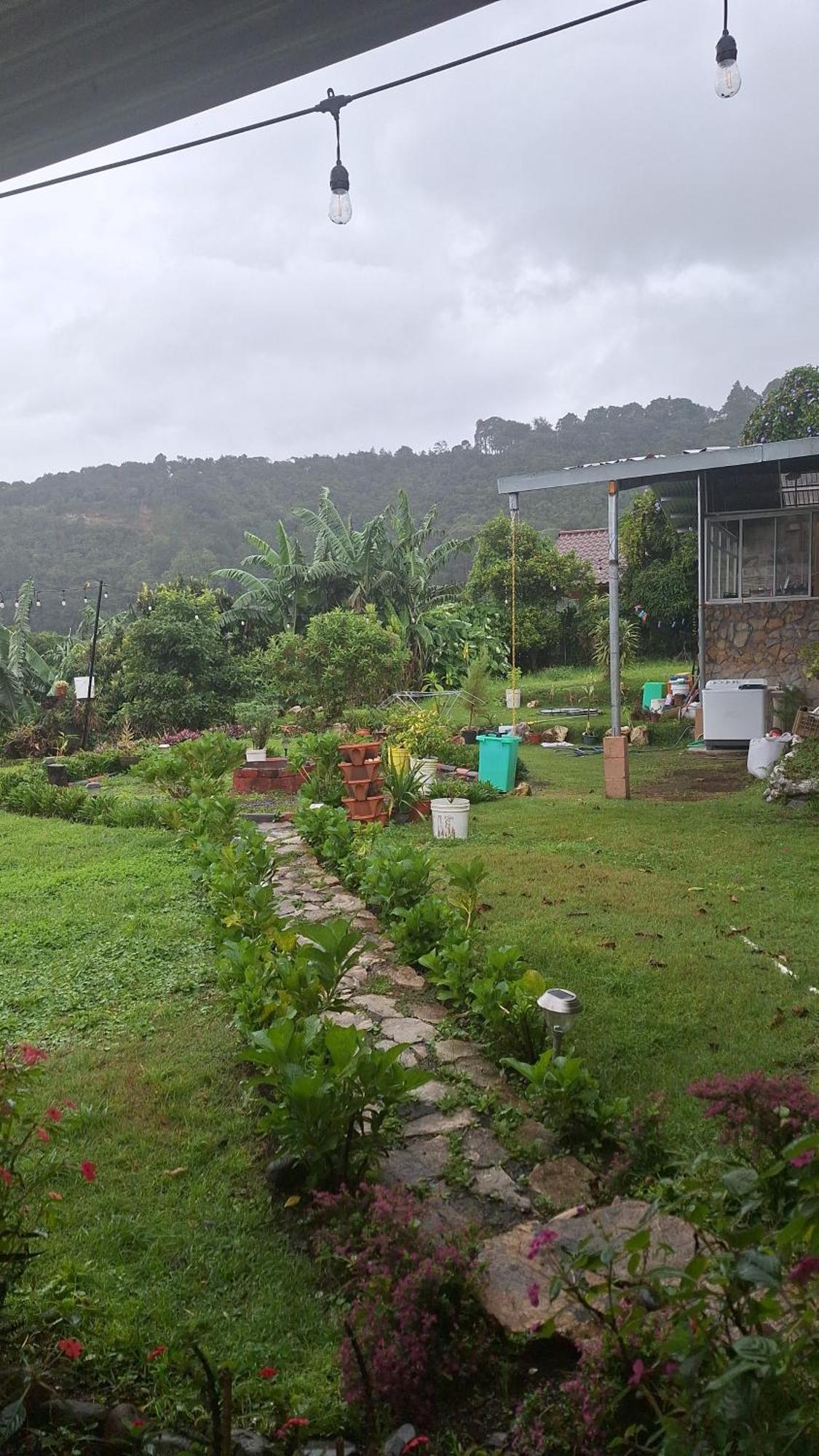 Hostal Vista Boquete Bajo Boquete المظهر الخارجي الصورة