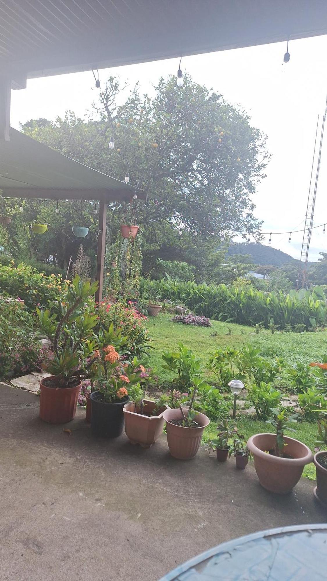 Hostal Vista Boquete Bajo Boquete المظهر الخارجي الصورة