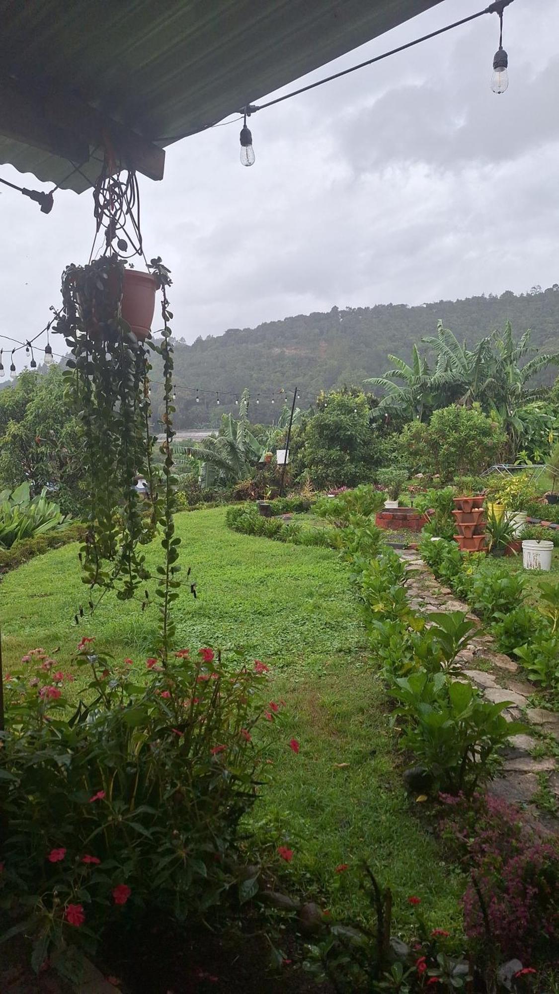 Hostal Vista Boquete Bajo Boquete المظهر الخارجي الصورة