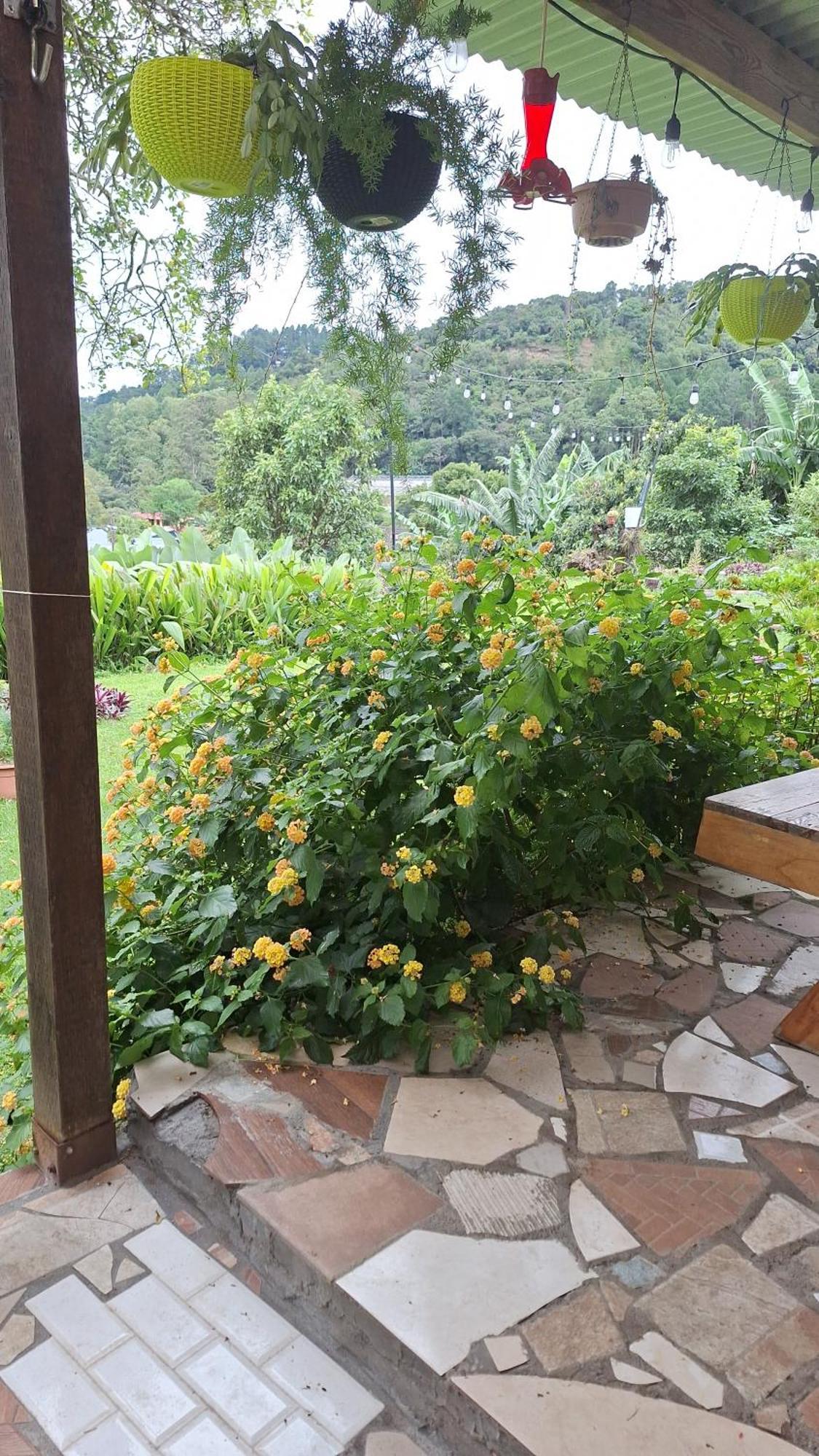 Hostal Vista Boquete Bajo Boquete المظهر الخارجي الصورة