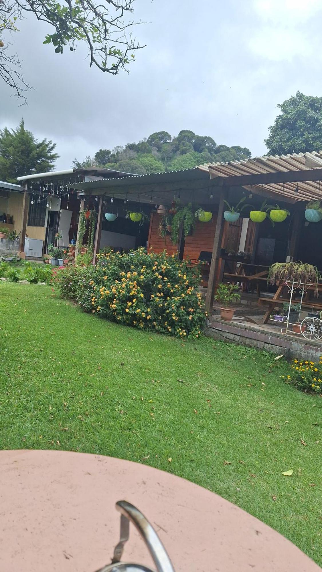 Hostal Vista Boquete Bajo Boquete المظهر الخارجي الصورة