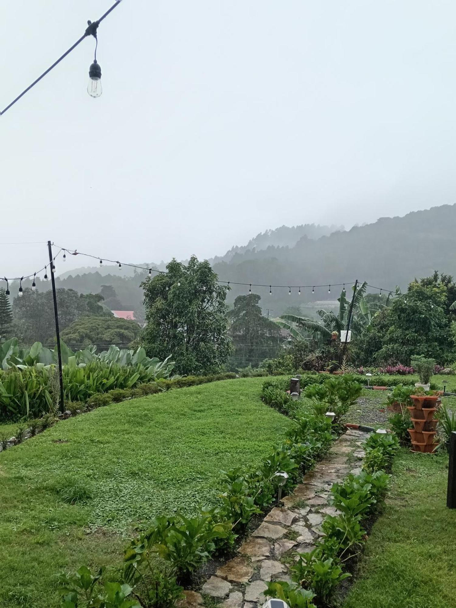 Hostal Vista Boquete Bajo Boquete المظهر الخارجي الصورة