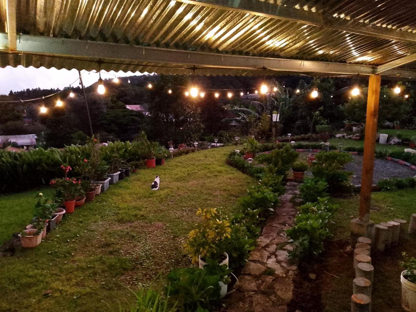 Hostal Vista Boquete Bajo Boquete المظهر الخارجي الصورة