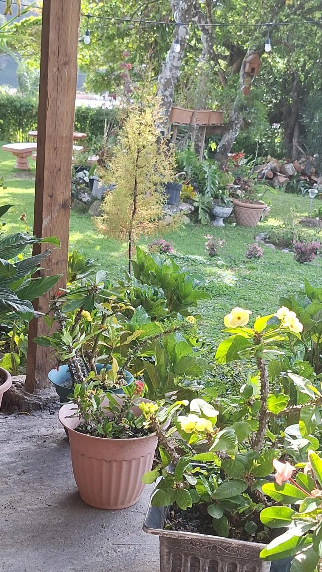 Hostal Vista Boquete Bajo Boquete المظهر الخارجي الصورة
