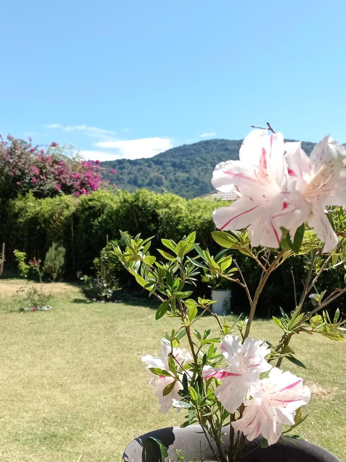 Hostal Vista Boquete Bajo Boquete المظهر الخارجي الصورة