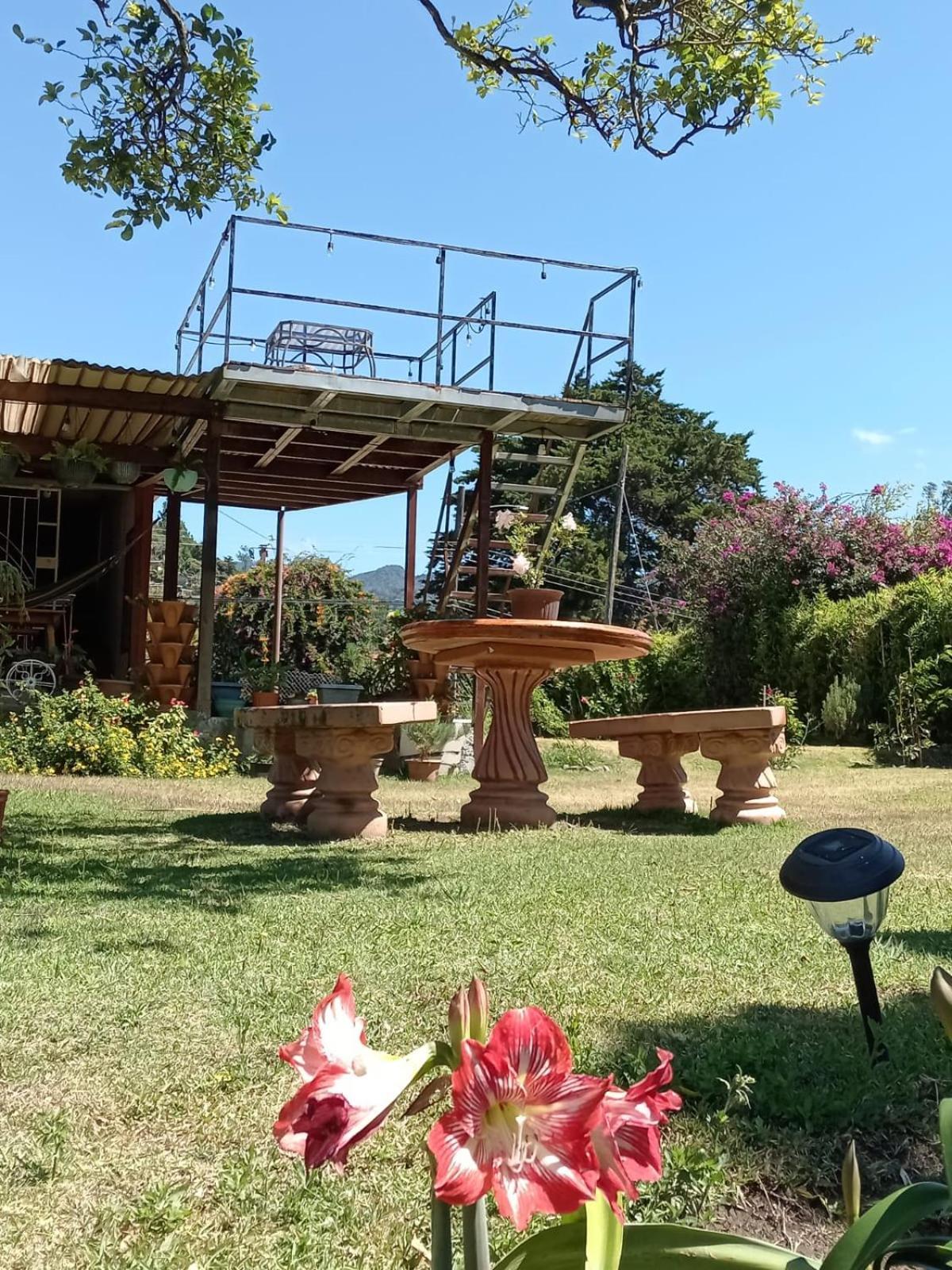 Hostal Vista Boquete Bajo Boquete المظهر الخارجي الصورة