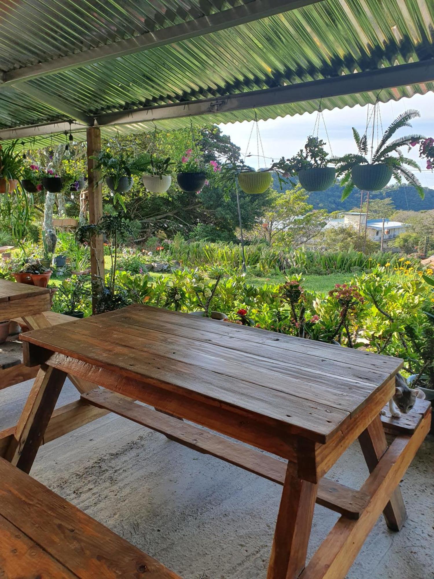 Hostal Vista Boquete Bajo Boquete المظهر الخارجي الصورة