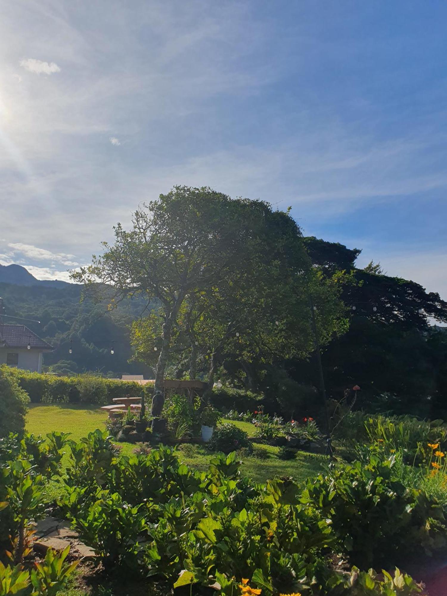 Hostal Vista Boquete Bajo Boquete المظهر الخارجي الصورة